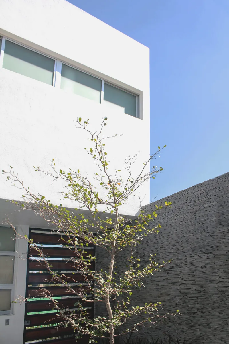 Olivos House