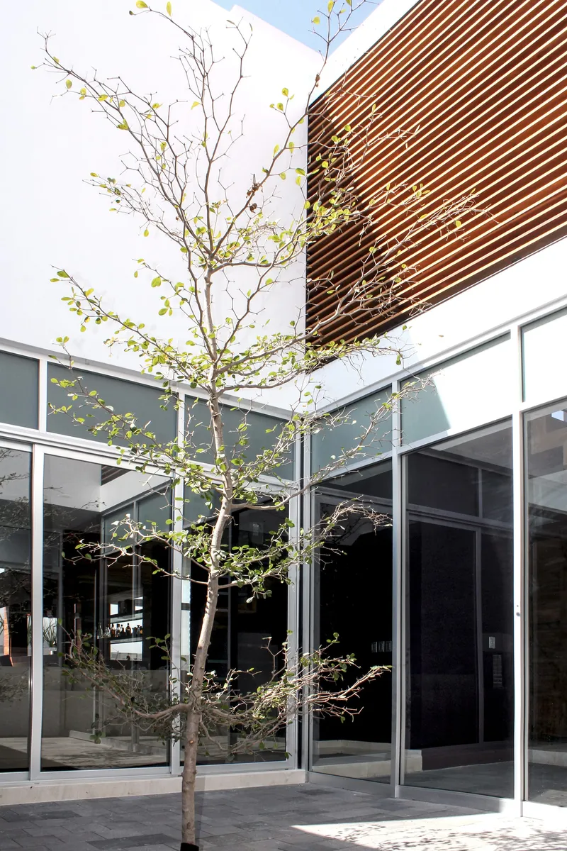 Olivos House